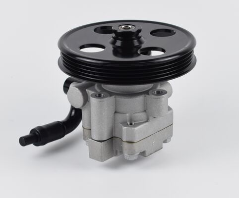 Pompa sterująca z Chin Części układu podwozia samochodów Wysoka precyzja 1102DAA03701N 60bar dwie rury