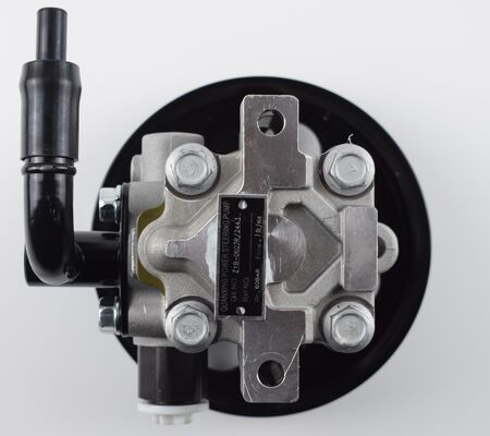 Pompa sterująca z Chin Części układu podwozia samochodów Wysoka precyzja 1102DAA03701N 60bar dwie rury